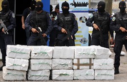 Hiểm hoạ tội phạm có tổ chức xuyên quốc gia ở Trung Mỹ 